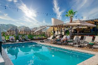 mayan monkey los cabos adults only