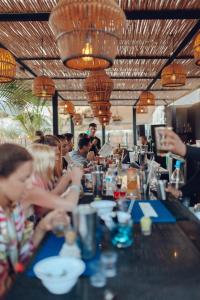 mayan monkey los cabos adults only