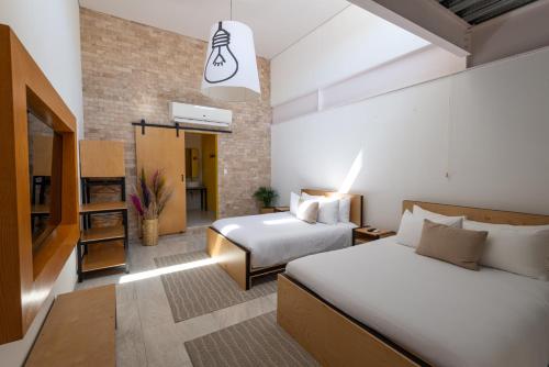 mayan monkey los cabos adults only