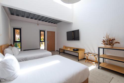 mayan monkey los cabos adults only