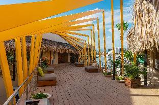 mayan monkey los cabos adults only