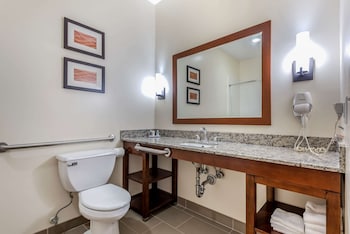 comfort inn apalachin binghamton w route 17