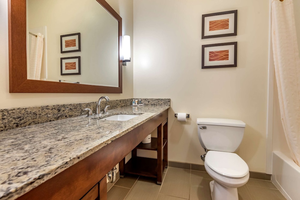 comfort inn apalachin binghamton w route 17