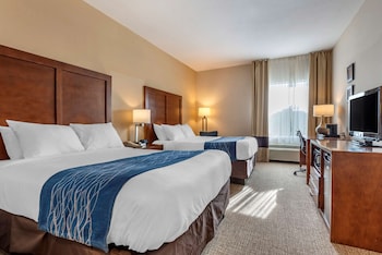 comfort inn apalachin binghamton w route 17