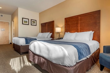 comfort inn apalachin binghamton w route 17