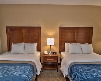 comfort inn apalachin binghamton w route 17