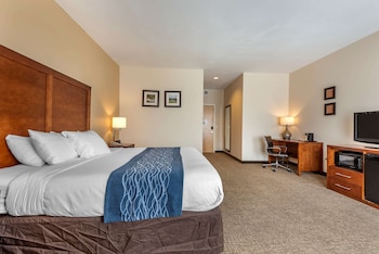 comfort inn apalachin binghamton w route 17