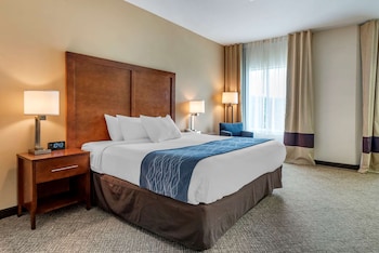 comfort inn apalachin binghamton w route 17