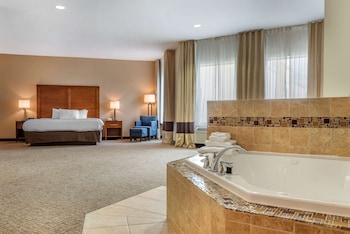 comfort inn apalachin binghamton w route 17
