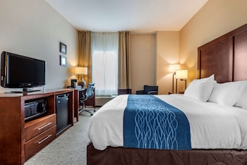 comfort inn apalachin binghamton w route 17