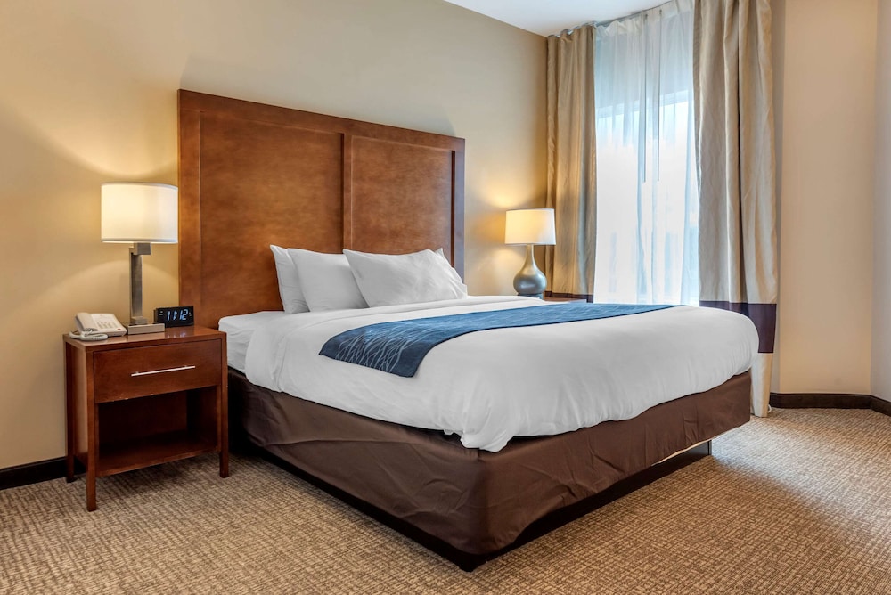comfort inn apalachin binghamton w route 17