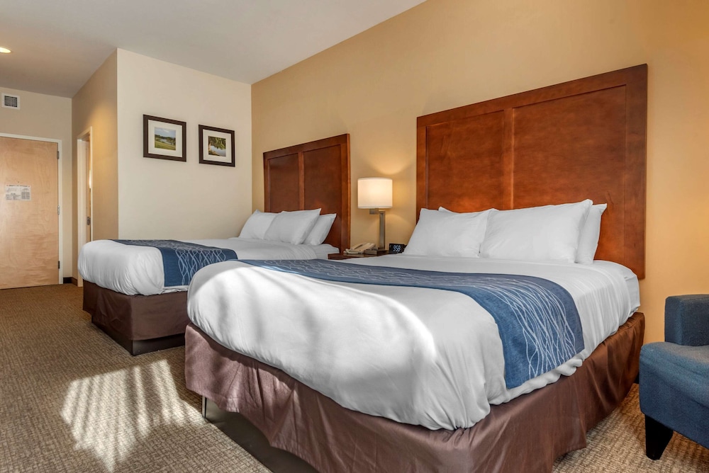comfort inn apalachin binghamton w route 17