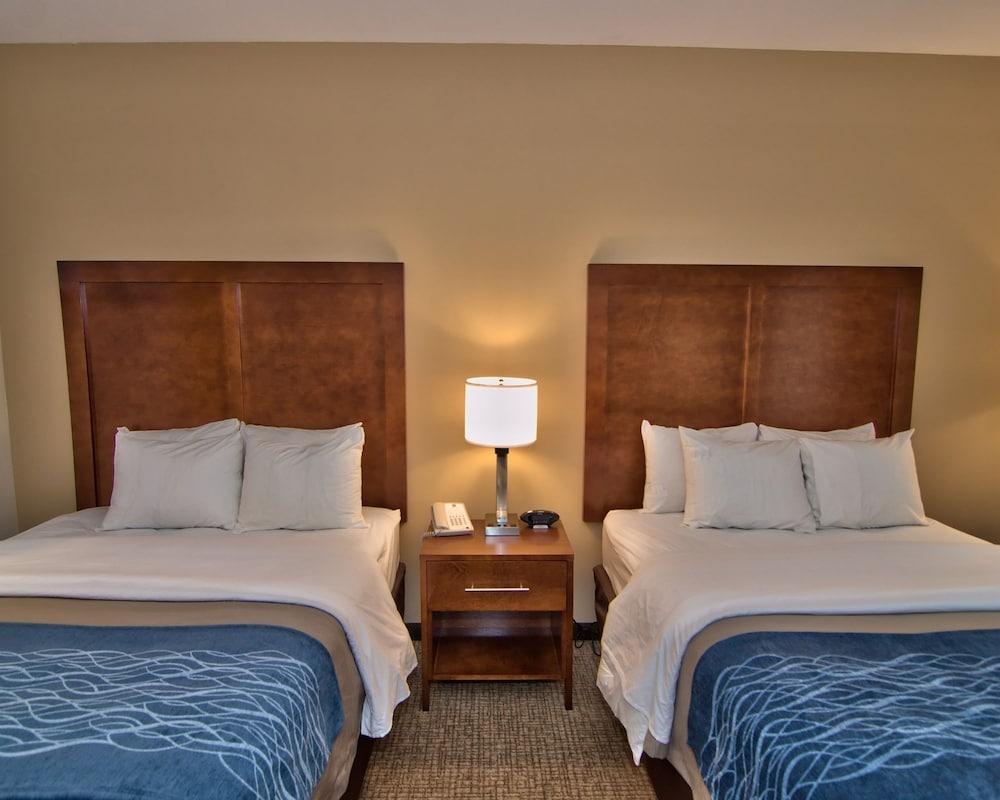 comfort inn apalachin binghamton w route 17