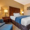 comfort inn apalachin binghamton w route 17