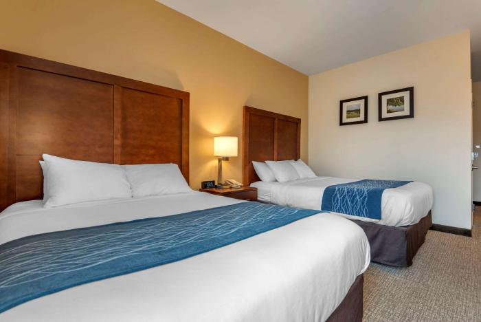 comfort inn apalachin binghamton w route 17