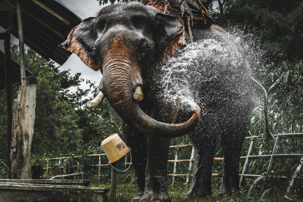 hotelbanaunirukchiangrai