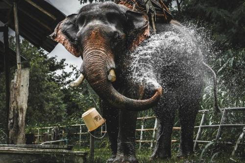 hotelbanaunirukchiangrai