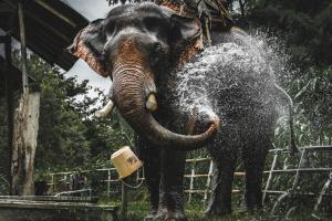 hotelbanaunirukchiangrai