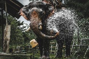 hotelbanaunirukchiangrai