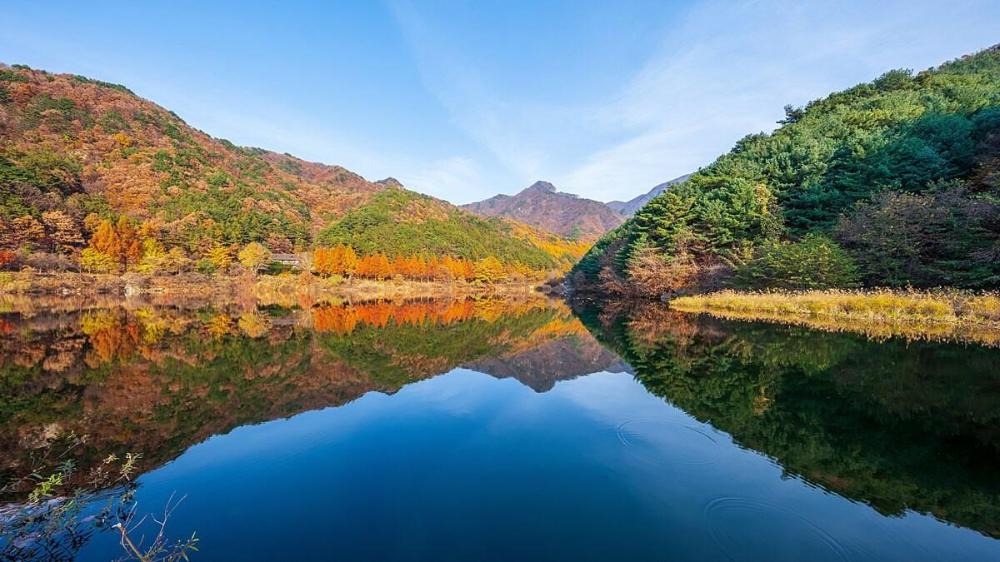 pocheon sanwoolteo pet friendly pension