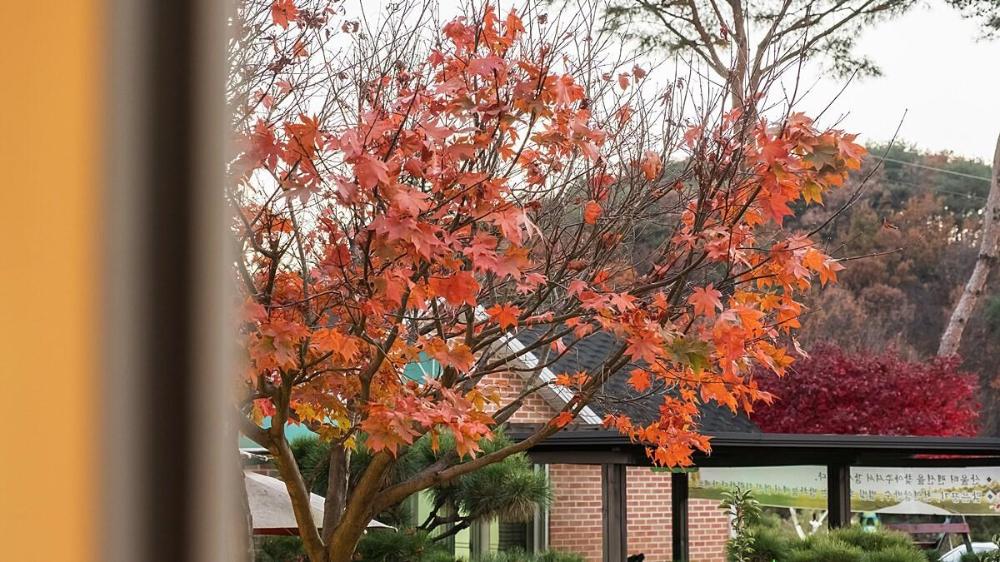 pocheon sanwoolteo pet friendly pension