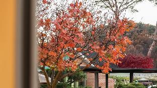 pocheon sanwoolteo pet friendly pension