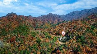 pocheon sanwoolteo pet friendly pension