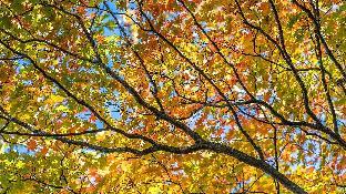 pocheon sanwoolteo pet friendly pension