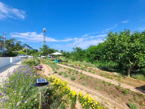goseong maris pension