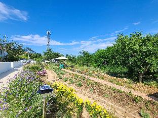 goseong maris pension