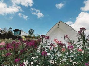 the haus at khao kho