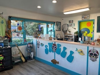 swell motel