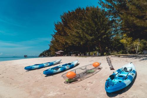ara dinawan island resort