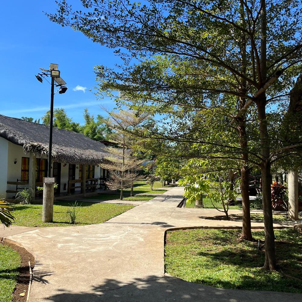 amici resort hotel laoag