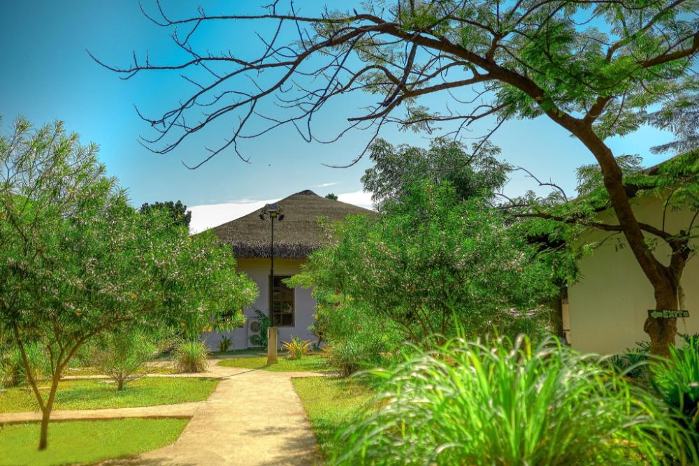 amici resort hotel laoag