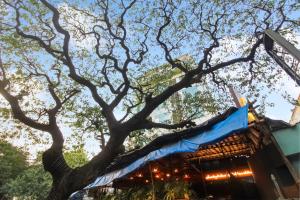 townhouse oak hotel shubhangan near juhu beach