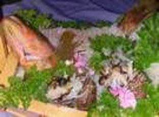 tamagawa onsen tamashimaso