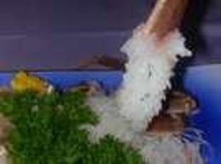 tamagawa onsen tamashimaso