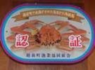 tamagawa onsen tamashimaso