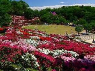 tamagawa onsen tamashimaso