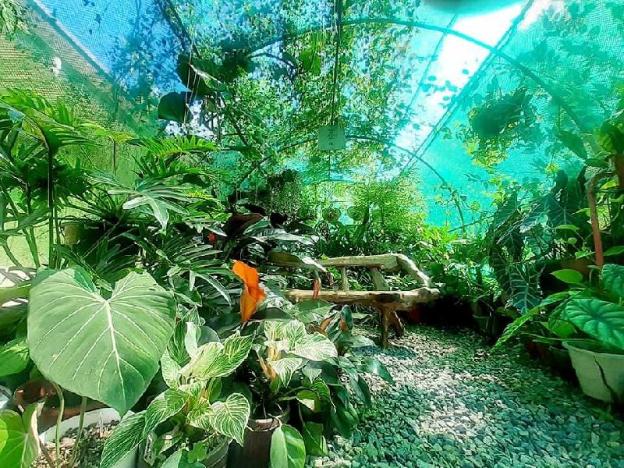 garden nen ines guest house