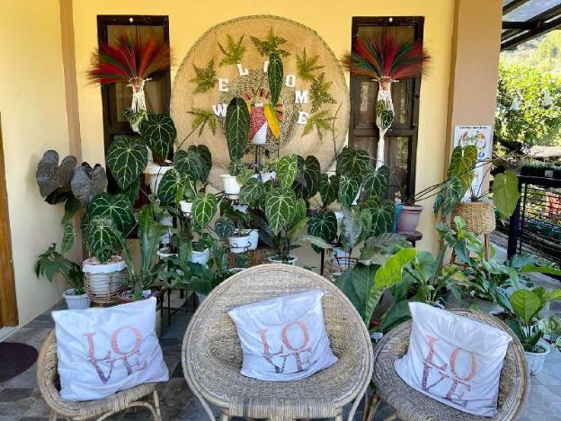 garden nen ines guest house