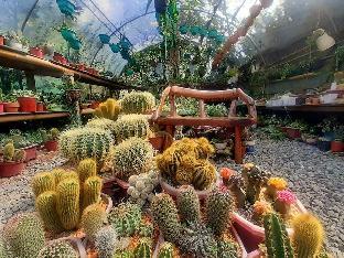 garden nen ines guest house