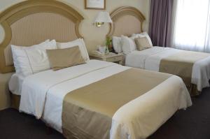 best western plus plaza florida and tower