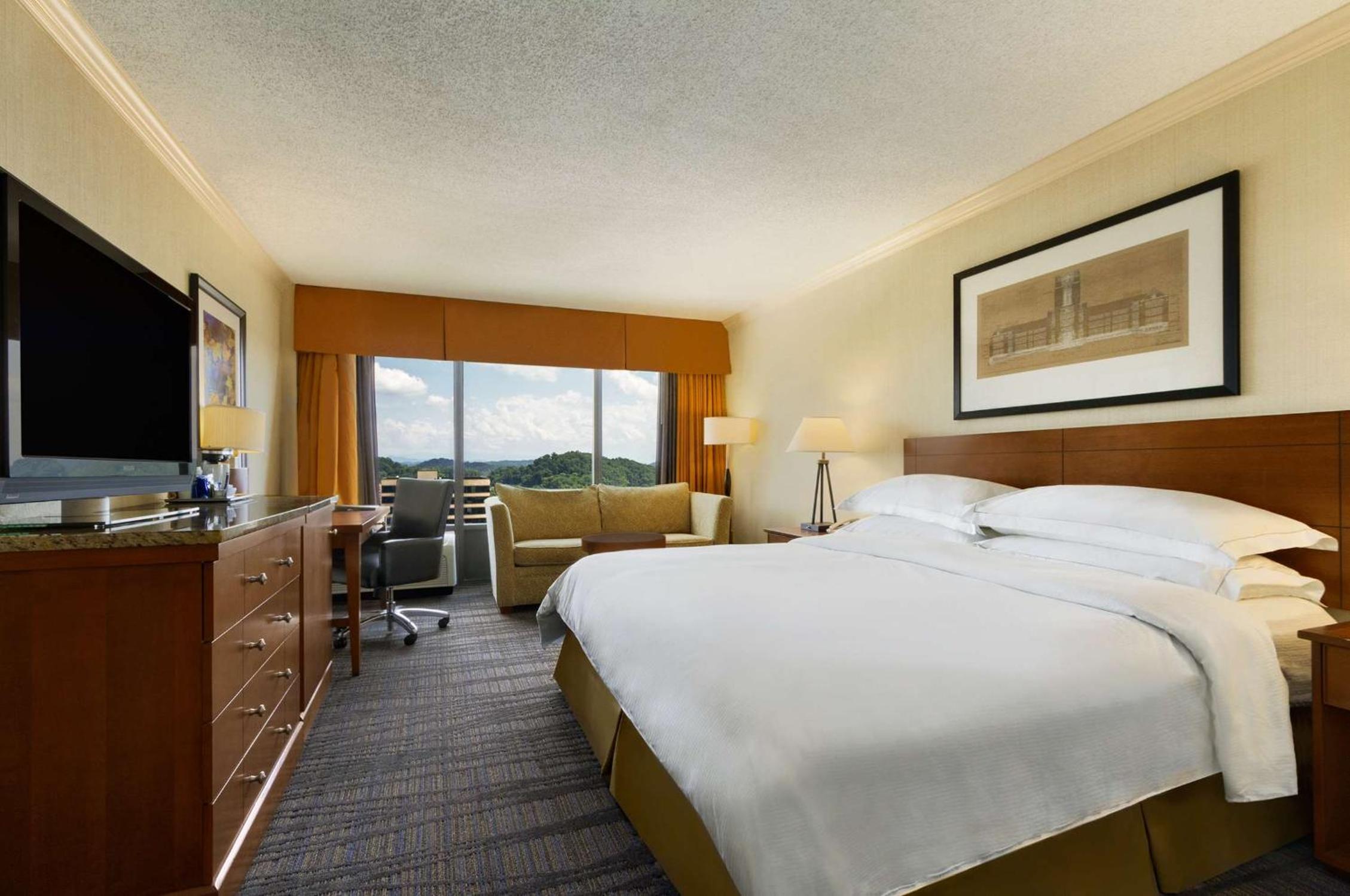 hilton knoxville
