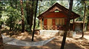 devbagh beach resort junglelodges