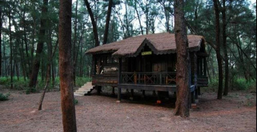 devbagh beach resort junglelodges