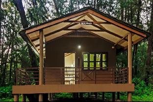 devbagh beach resort junglelodges