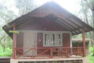 devbagh beach resort junglelodges