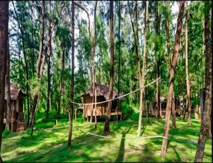 devbagh beach resort junglelodges